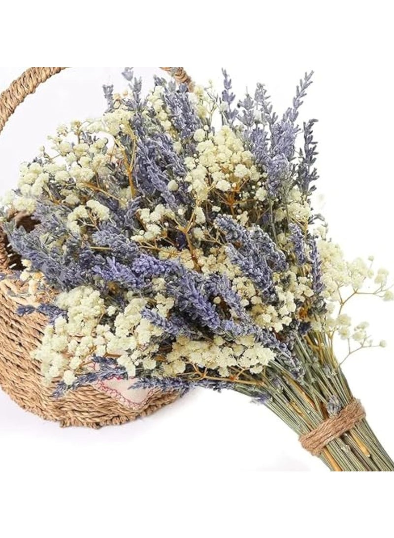 باقات زهور اللافندر المجففة ونفس الطفل، باقة زهور مجففة للمزهرية، جيبسوفيلا طبيعية للمنزل، الزفاف، التصوير الفوتوغرافي، تنسيق الزهور، اصنعها بنفسك - Image 1